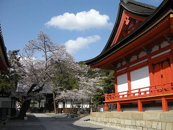 2011-Apr-京阪神 750.jpg