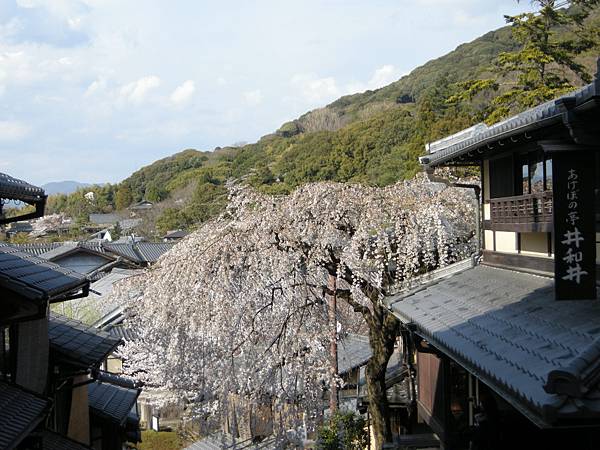 2011-Apr-京阪神 804.jpg