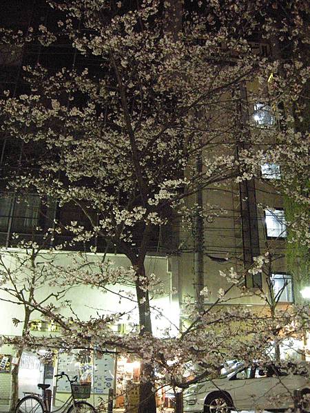 2011-Apr-京阪神 531.jpg