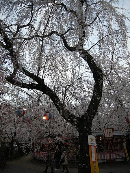 2011-Apr-京阪神 877.jpg