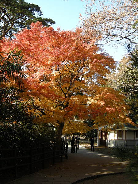 仙台 210.jpg