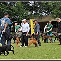 10月6日在鐶銶愛犬學校舉辦台灣高砂犬單獨展~