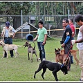 10月6日在鐶銶愛犬學校舉辦台灣高砂犬單獨展~