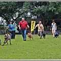 10月6日在鐶銶愛犬學校舉辦台灣高砂犬單獨展~