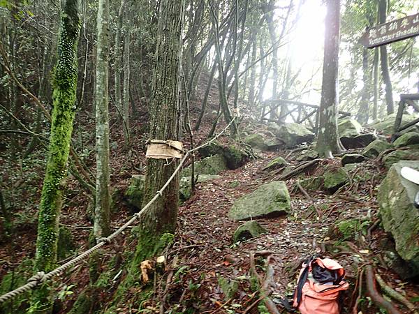 112.08.05-6 大雪山步道維修-橫嶺山