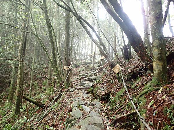 112.08.05-6 大雪山步道維修-橫嶺山