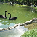 CIMG0090.JPG