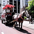 計時台觀光馬車