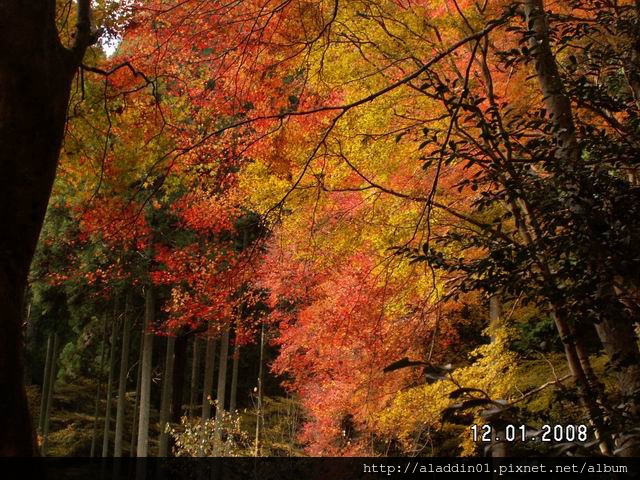 120106高山寺 (17).JPG