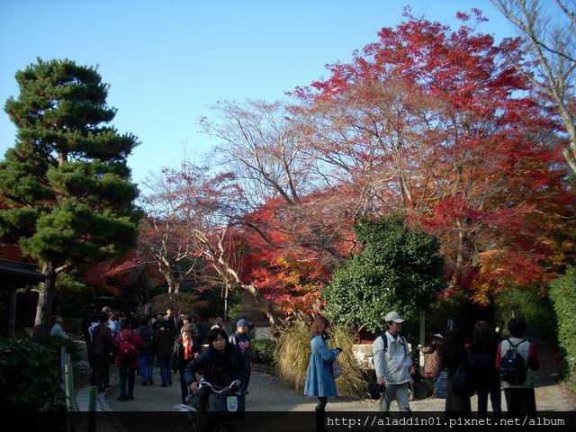 120148常寂光寺23.JPG