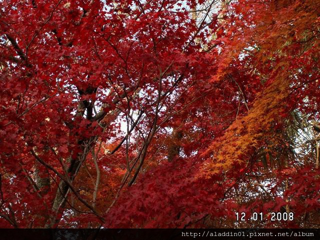 120154嵐山常寂光寺 (35).JPG