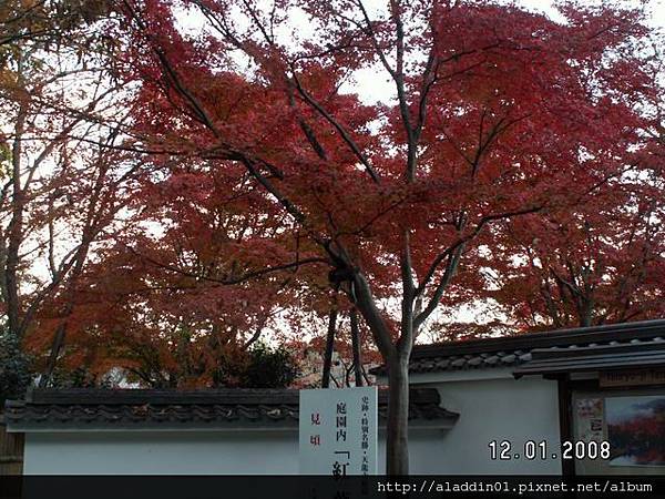 120160嵐山天龍寺.JPG