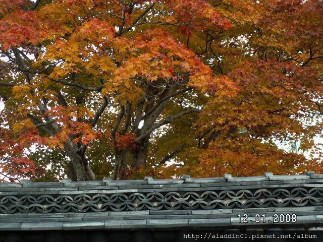 120172嵐山天龍寺 (55).JPG