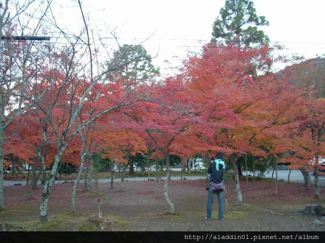 120179松巖寺05.JPG