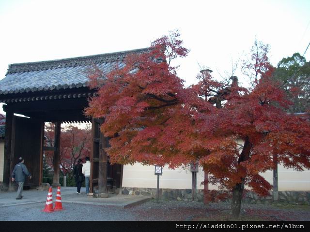 120185弘源寺08.JPG