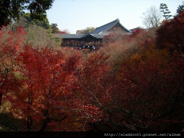 120435東福寺02.JPG