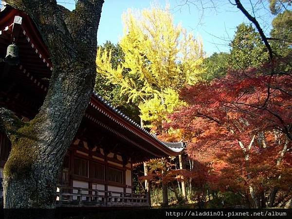 1202醍醐寺43