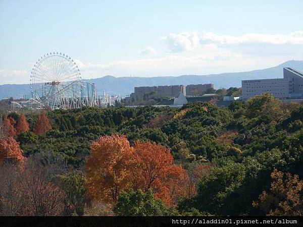 1206萬博紀念公園42