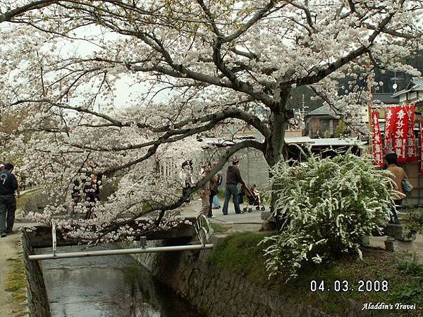 「哲學之道」每隔數十公尺就有一座小橋，方便居民，也成「哲學之道」特色