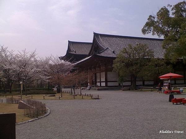 京都東寺內院建築氣派堂皇，不愧是護國佛寺