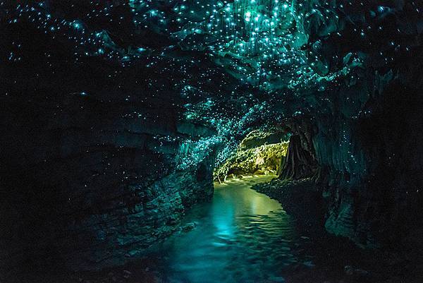 Glow-Worm-Cave-in-Waitamo-New-Zealand.jpg