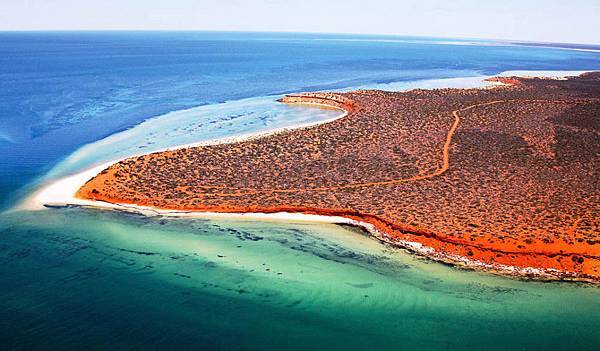 Shark-Bay-Western-Australia.jpg