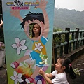 20115月土城桐花季 007.jpg