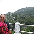 20115月土城桐花季 035.jpg