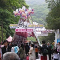 20115月土城桐花季 011.jpg