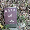 2008.11.30觀音山 , 占山 033.jpg