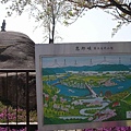 20090418黑部立山雪壁、白川鄉合掌村、北陸名湯６日湯 032.jpg