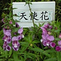 2010010203奧萬大 048.jpg