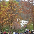 2010010203奧萬大 054.jpg