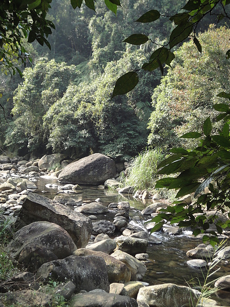 美麗的風景