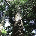 2010_07050194.JPG