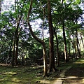 2010_08090373.JPG