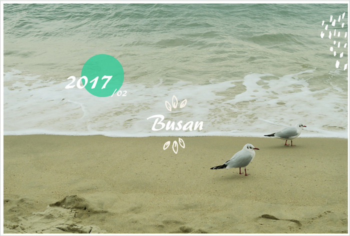 2017B_01.jpg