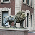 columbia lion