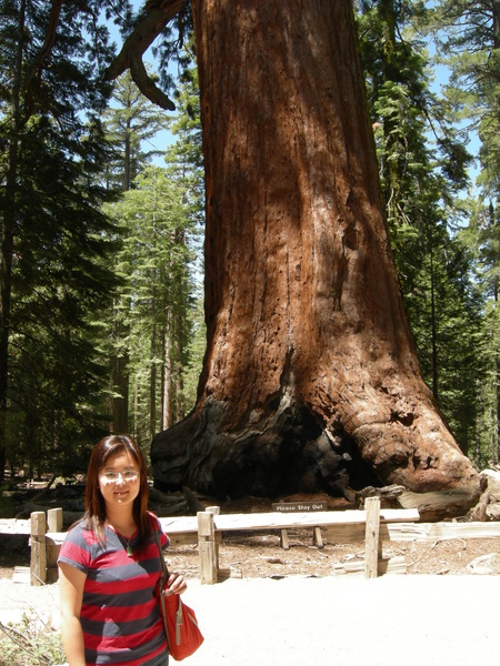 Yosemite