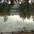 清華大學成功湖