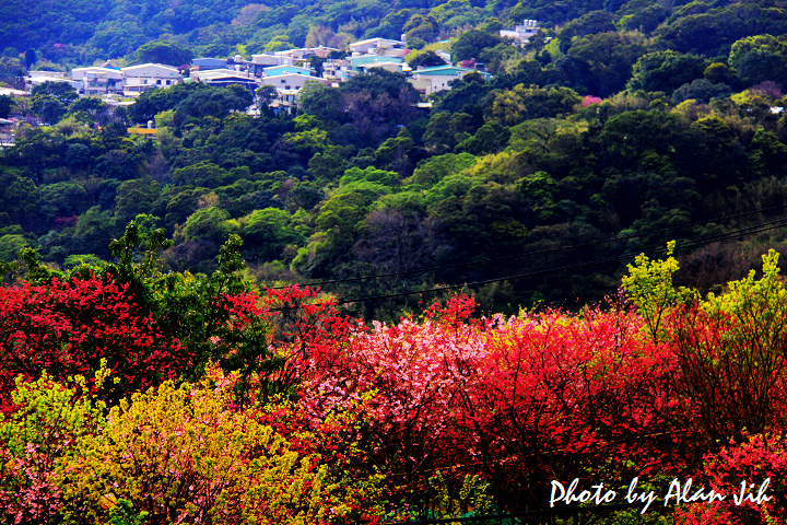Sakura-1 Sakura-1