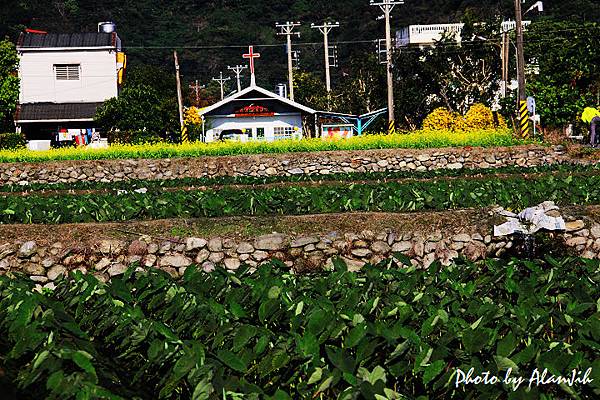 干城-8