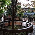 P1000706.JPG