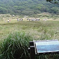 20061015爬爬團大屯山連峰行 015.jpg