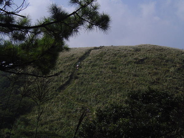 20061015爬爬團大屯山連峰行 043.jpg