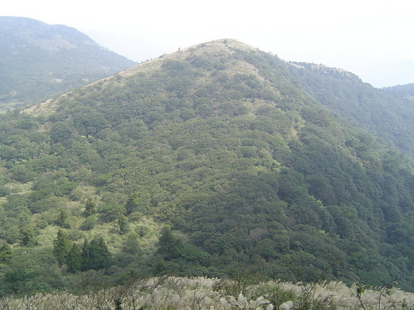 20061015爬爬團大屯山連峰行 065.jpg