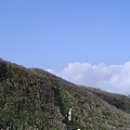 20061015爬爬團大屯山連峰行 089.jpg