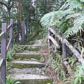 P1000637.JPG