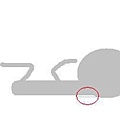 頸部透明帶示意.JPG