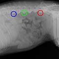 20120726_side_Xray.jpg